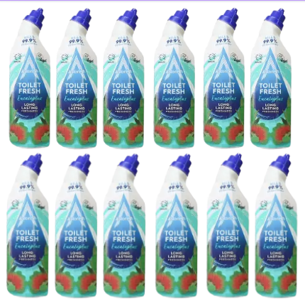 Astonish Toilet Fresh Gel Eucalyptus 750ml X 12